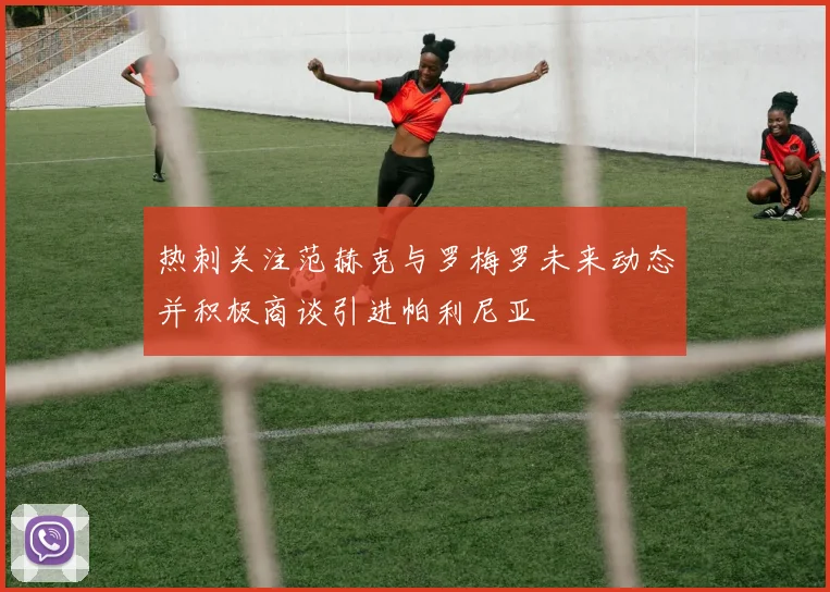 热刺关注范赫克与罗梅罗未来动态并积极商谈引进帕利尼亚
