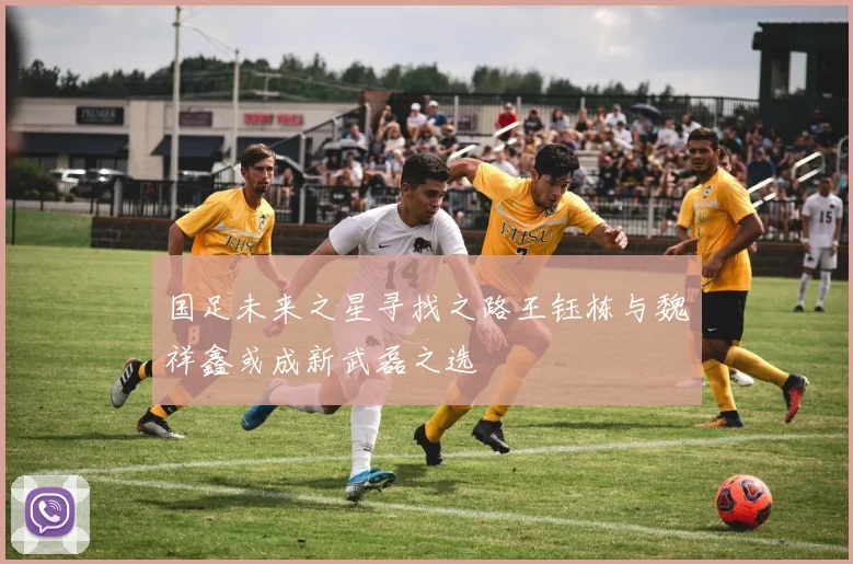 国足未来之星寻找之路王钰栋与魏祥鑫或成新武磊之选